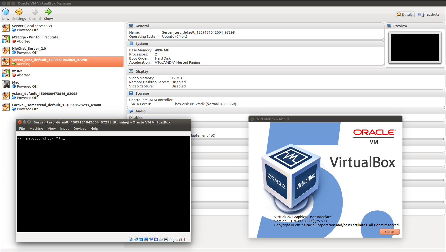 Vagrant Public Network  issues